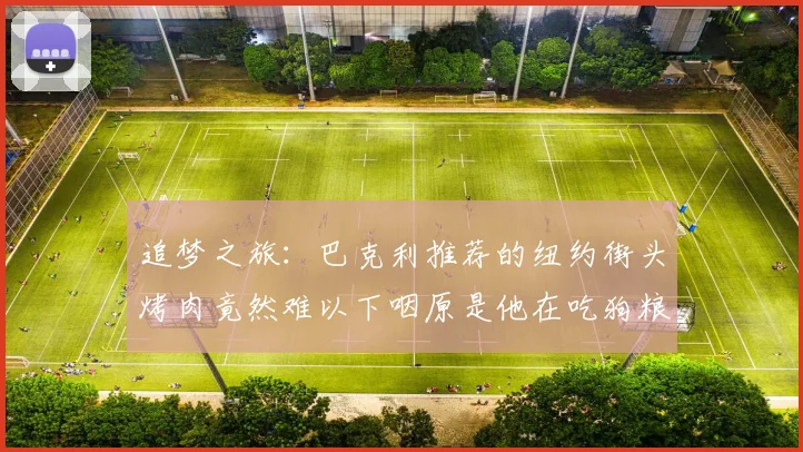 追梦之旅：巴克利推荐的纽约街头烤肉竟然难以下咽原是他在吃狗粮