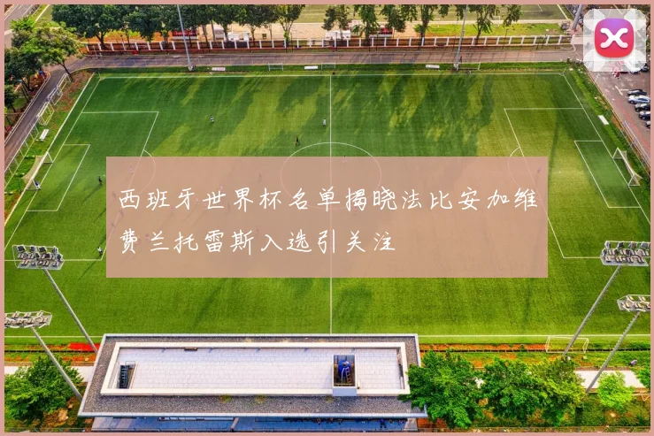 西班牙世界杯名单揭晓法比安加维费兰托雷斯入选引关注